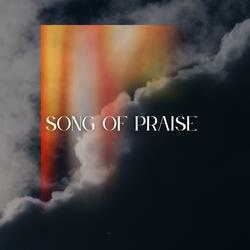 Song of Praise (feat. Joey McCutcheon & Bethanie McCutcheon)