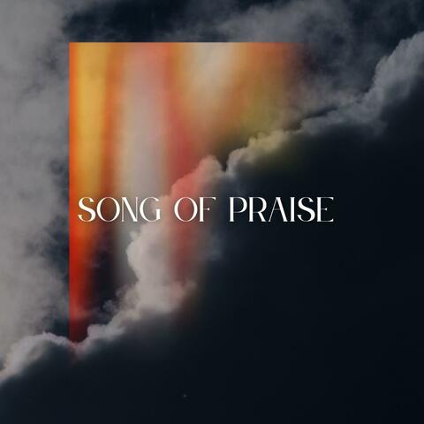 Song of Praise (feat. Joey McCutcheon & Bethanie McCutcheon)