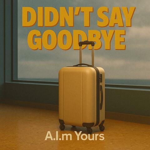 Didn’t Say Goodbye