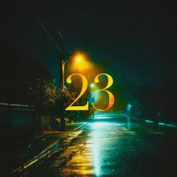 23