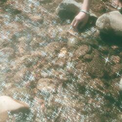 creekbed