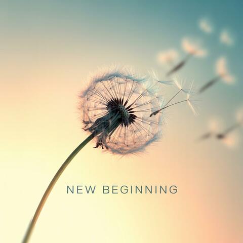 New Beginning