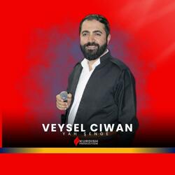 Veysel Ciwan - Hay Şenge