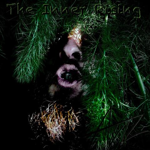 The Inner Rising