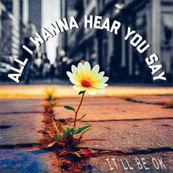 All I Wanna Hear You Say (It'll Be Ok)