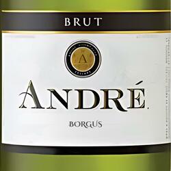 Andre Brut