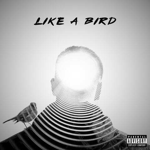 Like A Bird