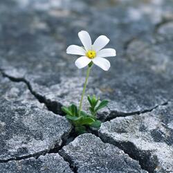 Outgrew What Hurt Me