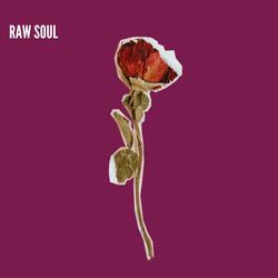 Raw Soul