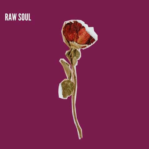 Raw Soul