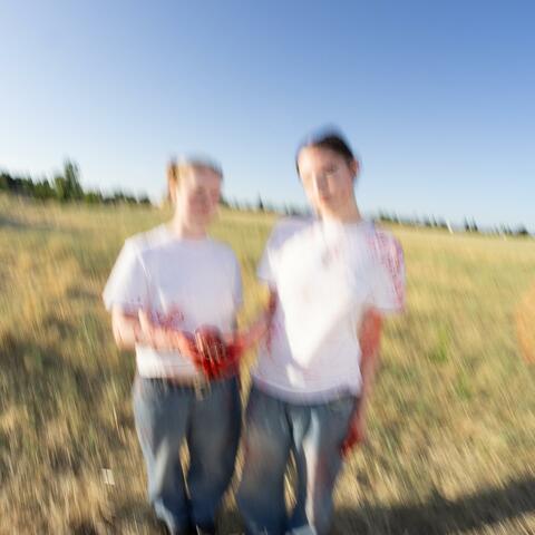Carried Away