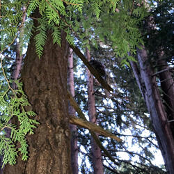 bittersweet love (piano only)