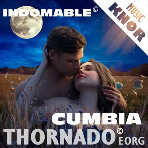 Eres Mi Luna (feat. Fer)