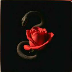 POISON IN EVERY TOUCH