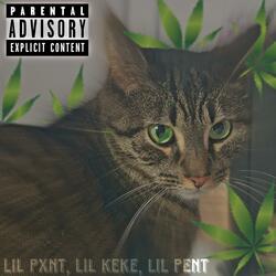 LIL PXNT (feat. Lil Pent)