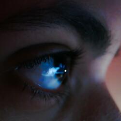 Dreamer