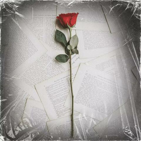 Alone