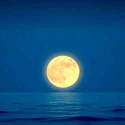 Hello, I don't like you (Moonlit) (Remaster 2, Favorite Version)