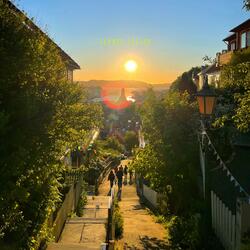 Summer Season