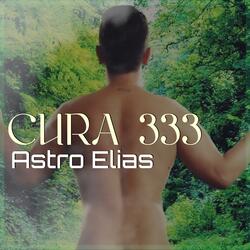 CURA 333.