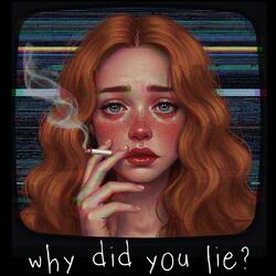 why did you lie?