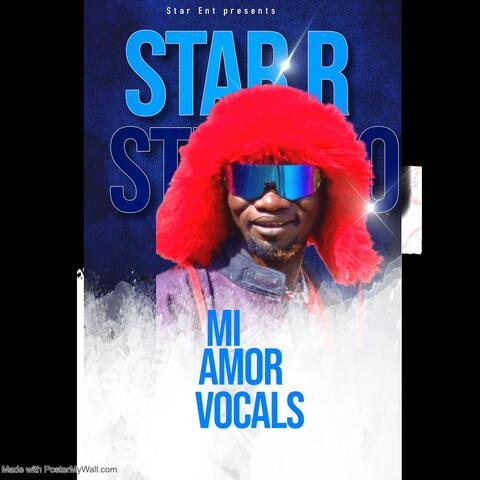Mi amor vocals only (feat. STEVO SIMPLE BOY)