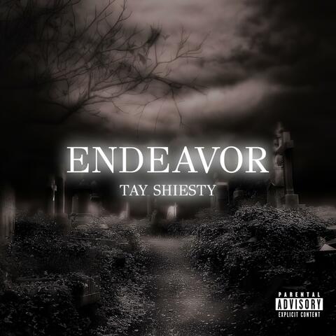 Endeavor
