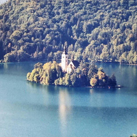 Chains Of Solid Gold