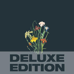 Stay (2025 Remaster)