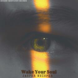 Wake Your Soul (feat. Pile Of Strings, Sensory Meditation, Alma Lin, Nina Nalo & Flame Timo)