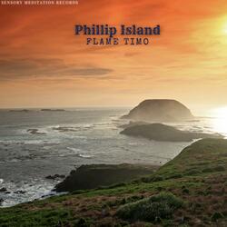 Phillip Island (feat. Pile Of Strings, Sensory Meditation, Jasper Whisper, Alma Lin & Nina Nalo)