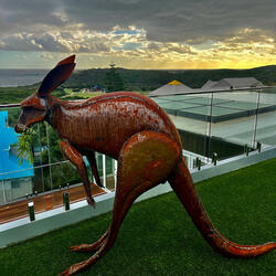 Rusty the Red Kangaroo