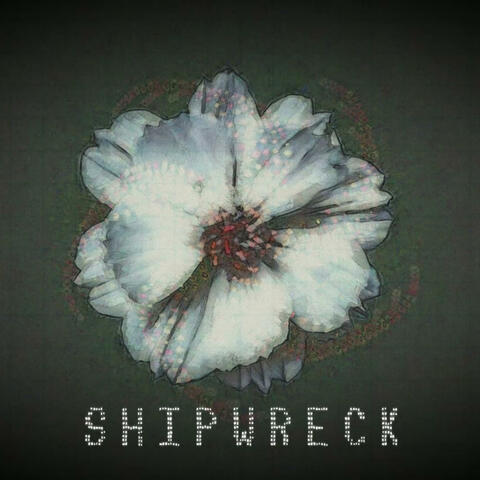 SHIPWRECKED