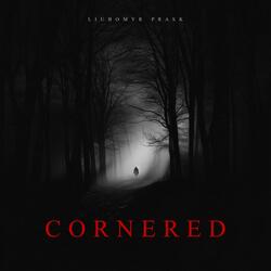 Cornered