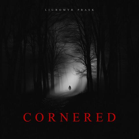 Cornered