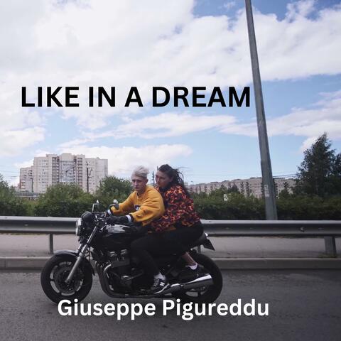 LIKE IN A DREAM