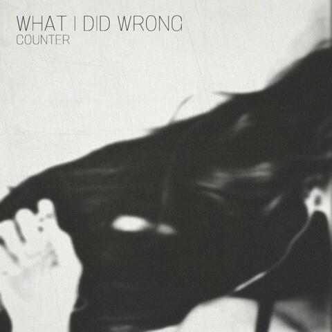 What I Did Wrong