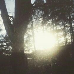 Ethereal