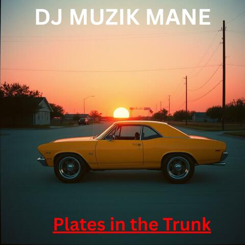 Plates in the Trunk