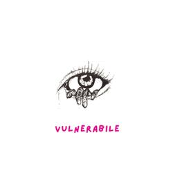 Vulnerabile