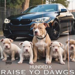 RAISE YO DAWGS