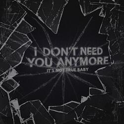 I Don't Need You Anymore (It's Not True Baby)