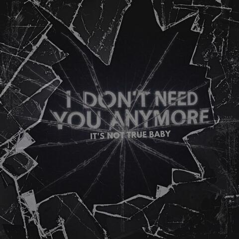 I Don't Need You Anymore (It's Not True Baby)