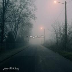 in my dreams