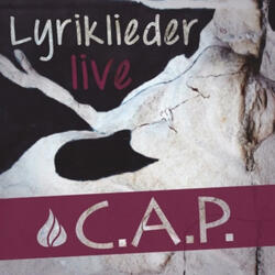 Das trunkene Lied (Live)