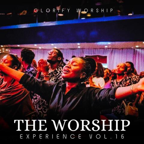 The Worship Experience, Vol. 16