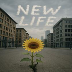 New Life
