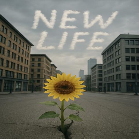New Life