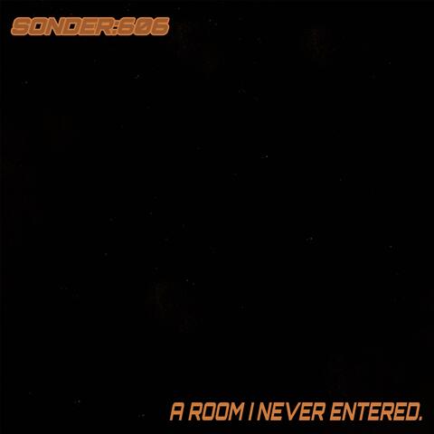 A ROOM I NEVER ENTERED.