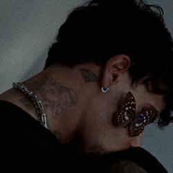 butterfly effect